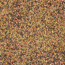 Load image into Gallery viewer, Mixed variety sprouting seeds in assorted colors including brown, yellow, green, and reddish tones