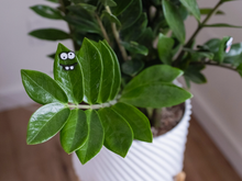 Load image into Gallery viewer, Magnetic Plant Faces | Magnet Charms for Plants