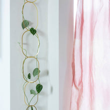 Load image into Gallery viewer, Climbing Plant Support