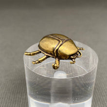 Load image into Gallery viewer, Brass Beetle Decoration