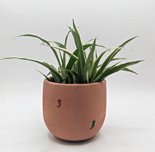Load image into Gallery viewer, Bell Planter Painted - 3&quot; | Bees, Arch, Daisy, Chilis: Green with Daisies
