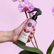 Load image into Gallery viewer, Hand holding pink orchid care spray bottle with purple orchid flowers and green leaves