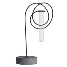 Load image into Gallery viewer, Modern black metal plant stand with circular loops and test tube vase on concrete base