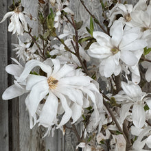 Load image into Gallery viewer, Magnolia Royal Star