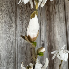 Load image into Gallery viewer, Magnolia Royal Star