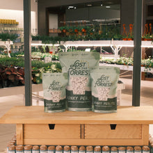 Load image into Gallery viewer, Three bags of Lost in the Forest Chunky Perlite lightweight drainage additive displayed in garden center