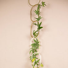 Load image into Gallery viewer, Climbing Plant Support
