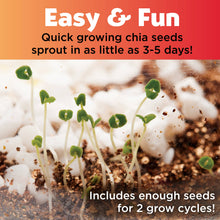 Load image into Gallery viewer, Chia seed sprouts growing in cotton with promotional text about quick 3-5 day germination