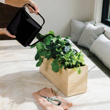 Load image into Gallery viewer, Modern Watering Can: Brass