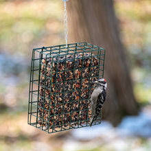 Load image into Gallery viewer, Green wire cage bird feeder filled with mixed nuts and seeds, with woodpecker feeding