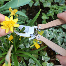 Load image into Gallery viewer, Hand-held pruning shears with wooden handles cutting yellow daffodil flowers in garden