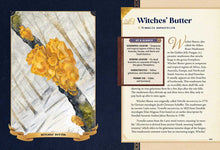 Load image into Gallery viewer, Little Book of Mushrooms hardcover guide showing Witches' Butter mushroom identification page with illustrations