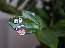 Load image into Gallery viewer, Magnetic Plant Faces | Magnet Charms for Plants