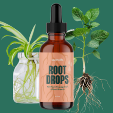 Load image into Gallery viewer, Southside Root Drops bottle with dropper for plant propagation and root growth enhancement