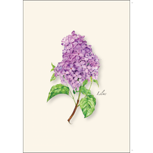 Load image into Gallery viewer, Lilac
