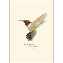 Load image into Gallery viewer, Ruby-throated Hummingbird illustration print with bird in flight on cream background