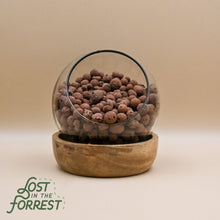 Load image into Gallery viewer, Brown clay pebbles in clear glass bowl on wooden base for plant drainage