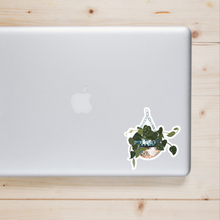 Load image into Gallery viewer, Silver pothos plant in sparkly disco ball hanging planter decorative sticker on laptop