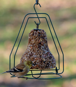 Bugs, Nuts & Fruit - Bell