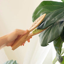 Load image into Gallery viewer, Hand holding wooden leaf cleaning tongs with green powder on spoon end near large tropical plant leaf