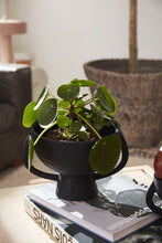 Load image into Gallery viewer, Black matte footed compote planter with handles displaying a lush Pilea peperomioides plant