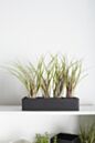 Load image into Gallery viewer, Urban Planter