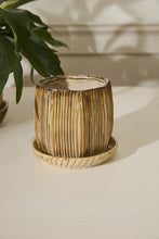 Load image into Gallery viewer, Glazed ceramic carved pot with matching saucer in warm brown and white tones