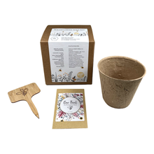 Load image into Gallery viewer, Wildflower-BEE FOOD Grow Kit