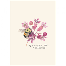 Load image into Gallery viewer, Rusty patched bumblebee on pink milkweed flowers botanical illustration notecard