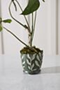 Load image into Gallery viewer, Vinelet Pot
