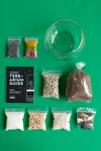 Load image into Gallery viewer, Terrarium Kit : Globe