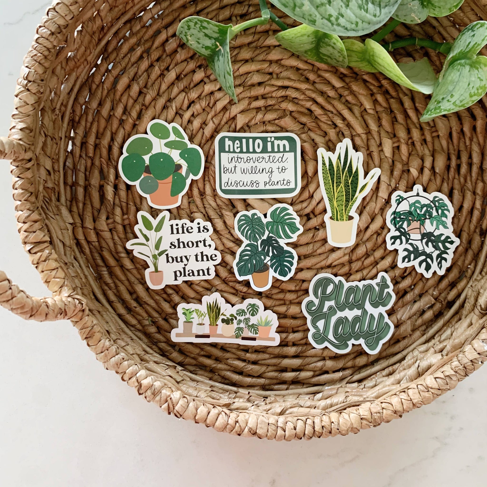 To Discuss Sticker Willing to Discuss Plants Sticker - Humorous Giftware – Wasson Nursery