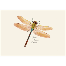 Load image into Gallery viewer, Giant Green Darner dragonfly illustration notecard with detailed wings and colorful body