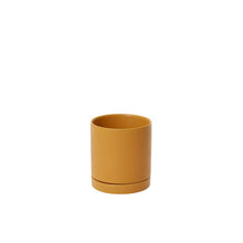 Load image into Gallery viewer, Pot Romey