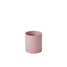 Load image into Gallery viewer, Pot Romey
