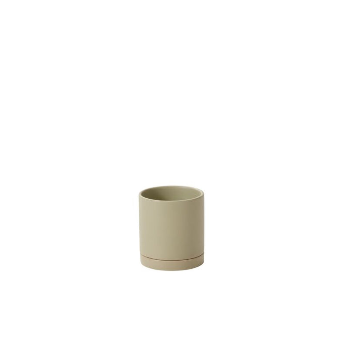 Pot Romey