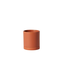 Load image into Gallery viewer, Pot Romey