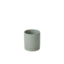 Load image into Gallery viewer, Pot Romey