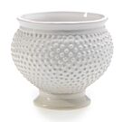 Spotti Pot