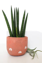 Load image into Gallery viewer, Bell Planter Painted - 3&quot; | Bees, Arch, Daisy, Chilis: Green with Daisies