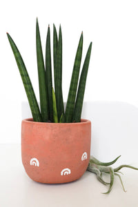 Bell Planter Painted - 3" | Bees, Arch, Daisy, Chilis: Green with Daisies