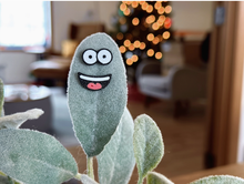 Load image into Gallery viewer, Magnetic Plant Faces | Magnet Charms for Plants