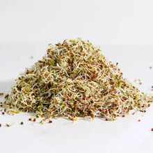 Load image into Gallery viewer, Pile of mixed organic alfalfa and broccoli sprouting seeds in various colors
