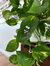 Load image into Gallery viewer, Magnetic Plant Faces | Magnet Charms for Plants