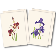 Load image into Gallery viewer, Set of botanical iris greeting cards featuring red and purple iris flowers with green stems