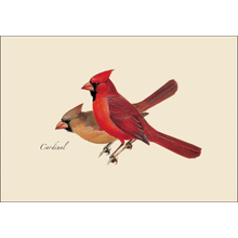 Load image into Gallery viewer, Vintage-style illustration of male and female cardinal birds perched together on beige background