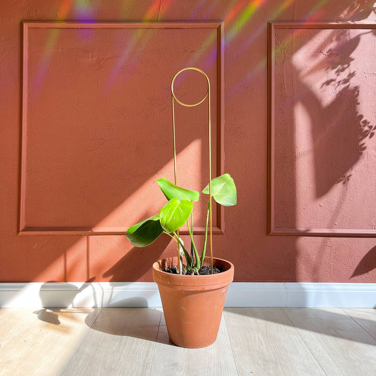 Golden Plant Stake - Pin: Elegant & Eco-Friendly Support – Wasson Nursery