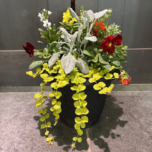 Load image into Gallery viewer, Wasson Seasonal Spring Porch Pot