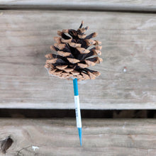 Load image into Gallery viewer, Pick Holiday Pinecone