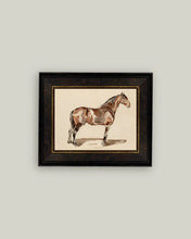 Load image into Gallery viewer, A bay horse is in the bridle